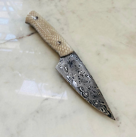 Signature Collection